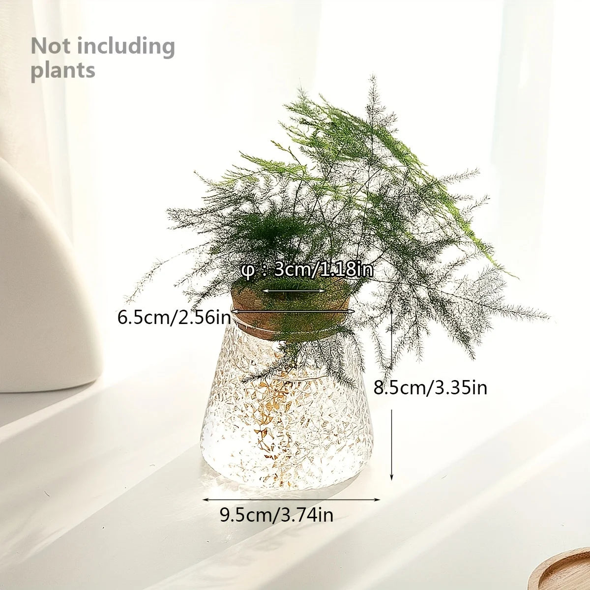 1Pc, Glass Planter Propagation Station Vase Rack Tabletop Hydroponic Plants Cuttings Office Home Decoration