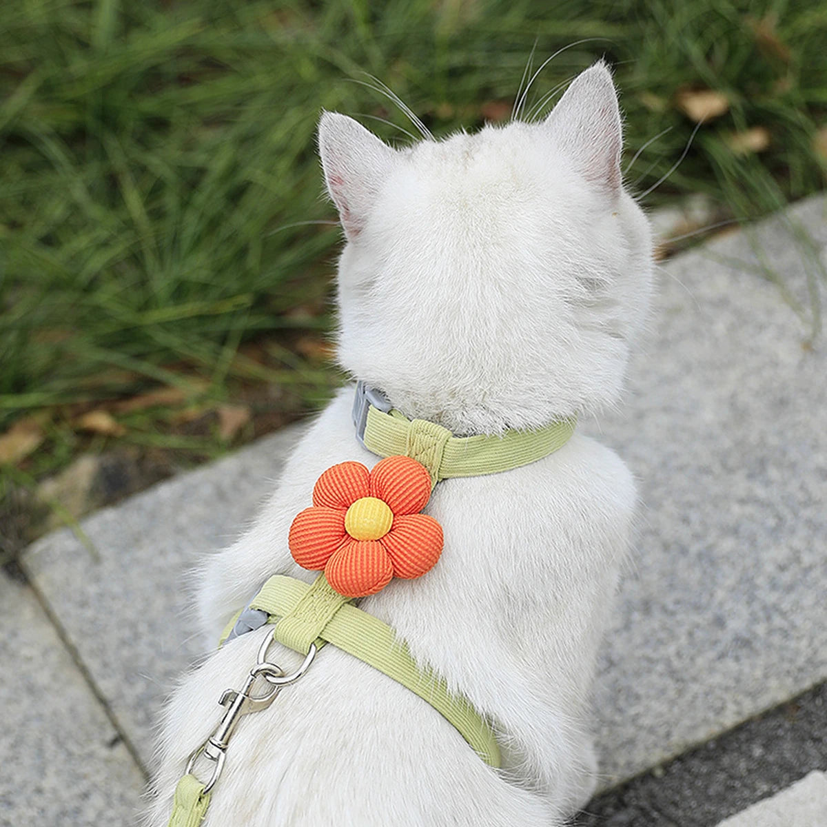 Cat Harness and Leash Sets Adjustable Dog Harness for Small Dog Leash Breashable Pet Harness Out Walking Dog Strap