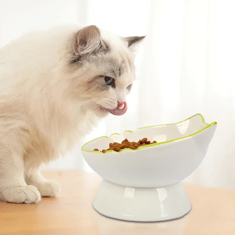 Comfort Height Pet Food Bowl